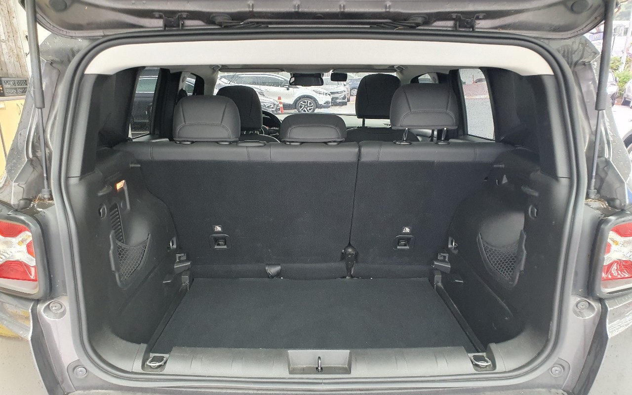 2019 - jeep renegade