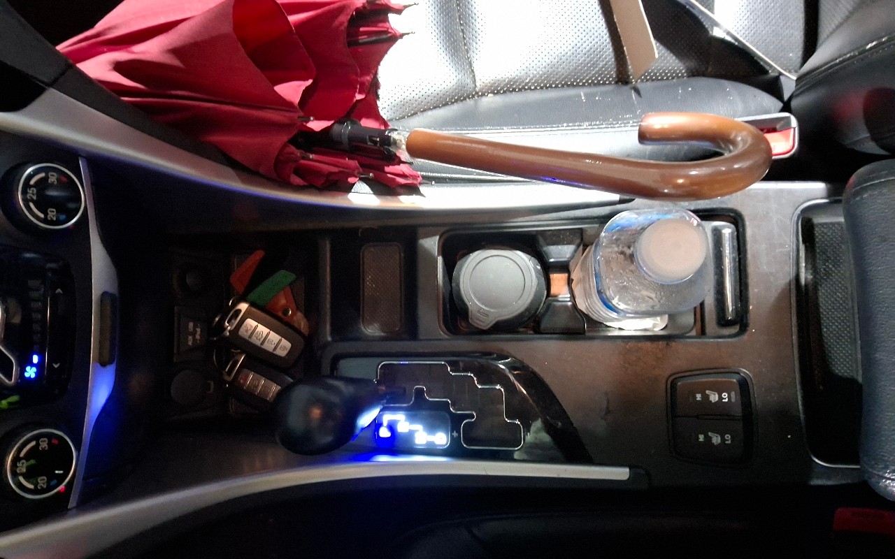 2010 - hyundai sonata