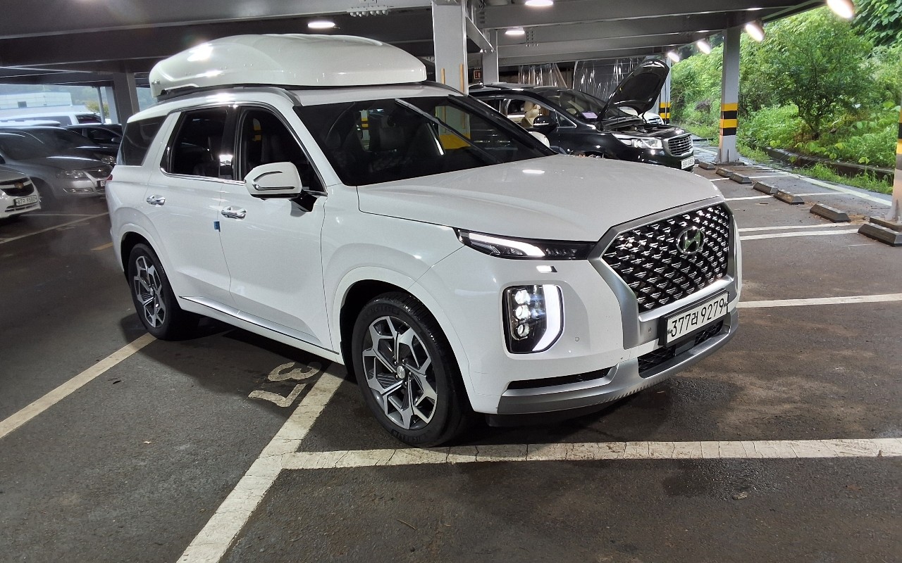 2021 - hyundai palisade