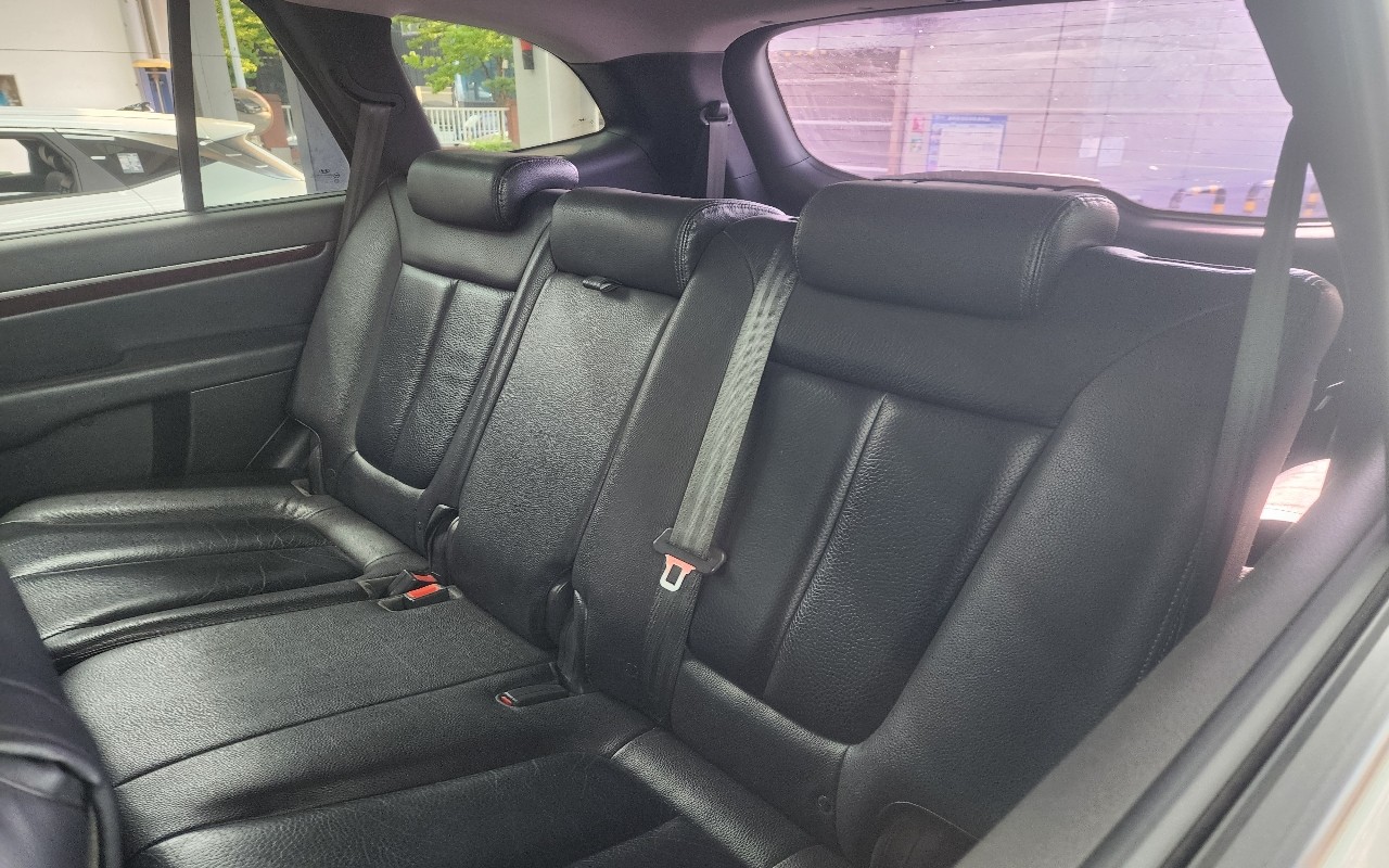 2010 - hyundai santa fe