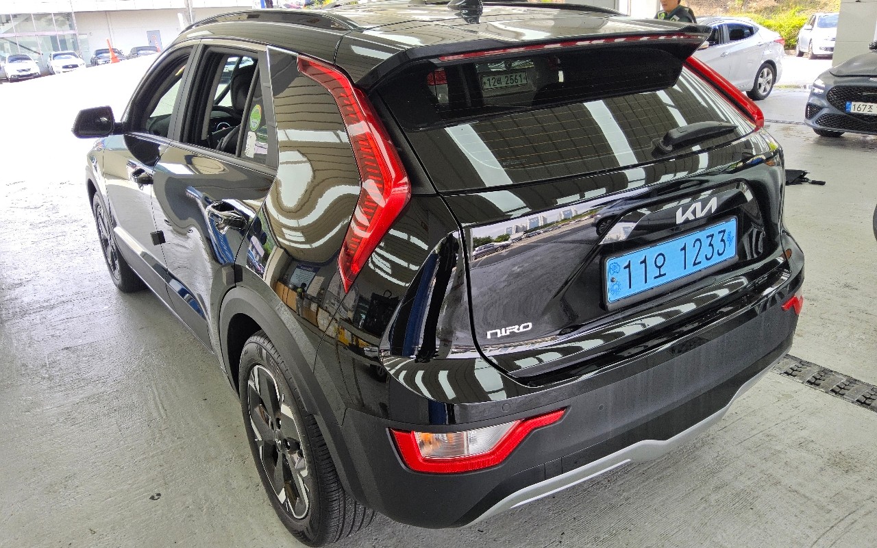 2024 - kia niro ev