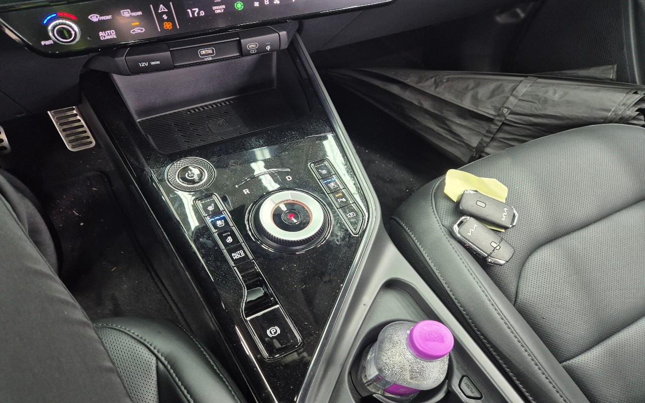 2024 - kia niro ev