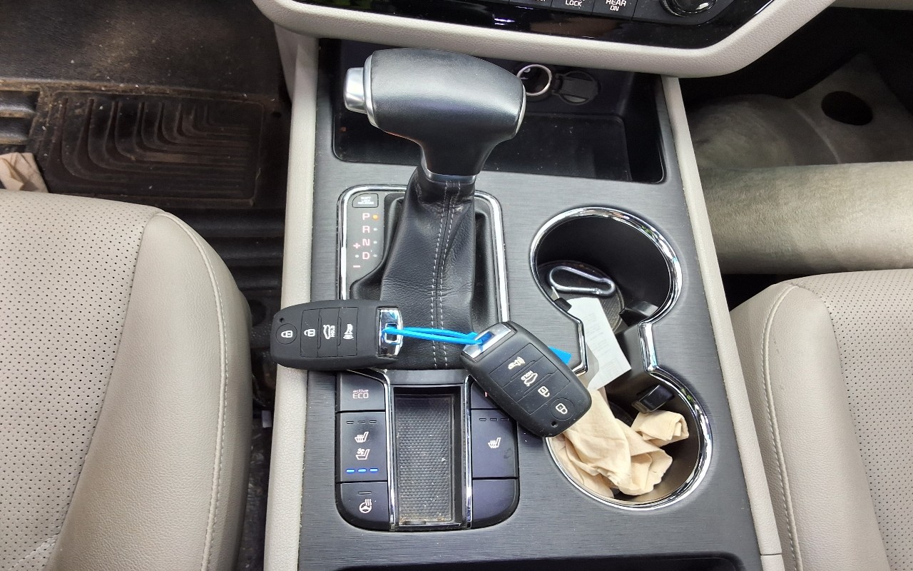 2019 - kia carnival