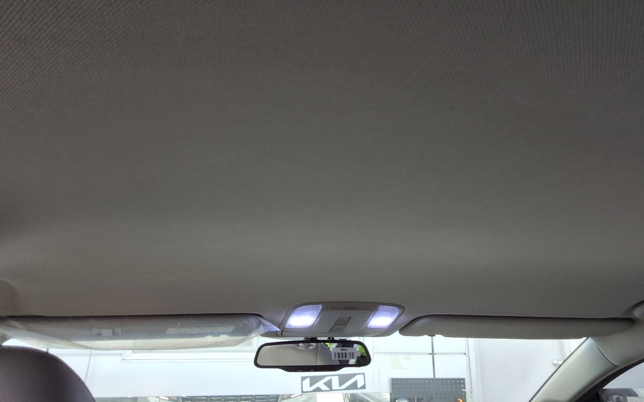 2019 - kia carnival