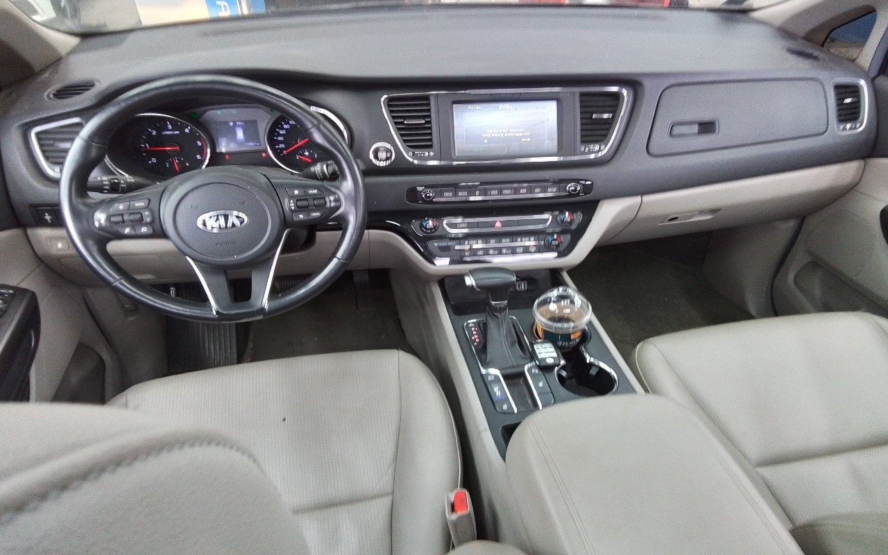 2019 - kia carnival