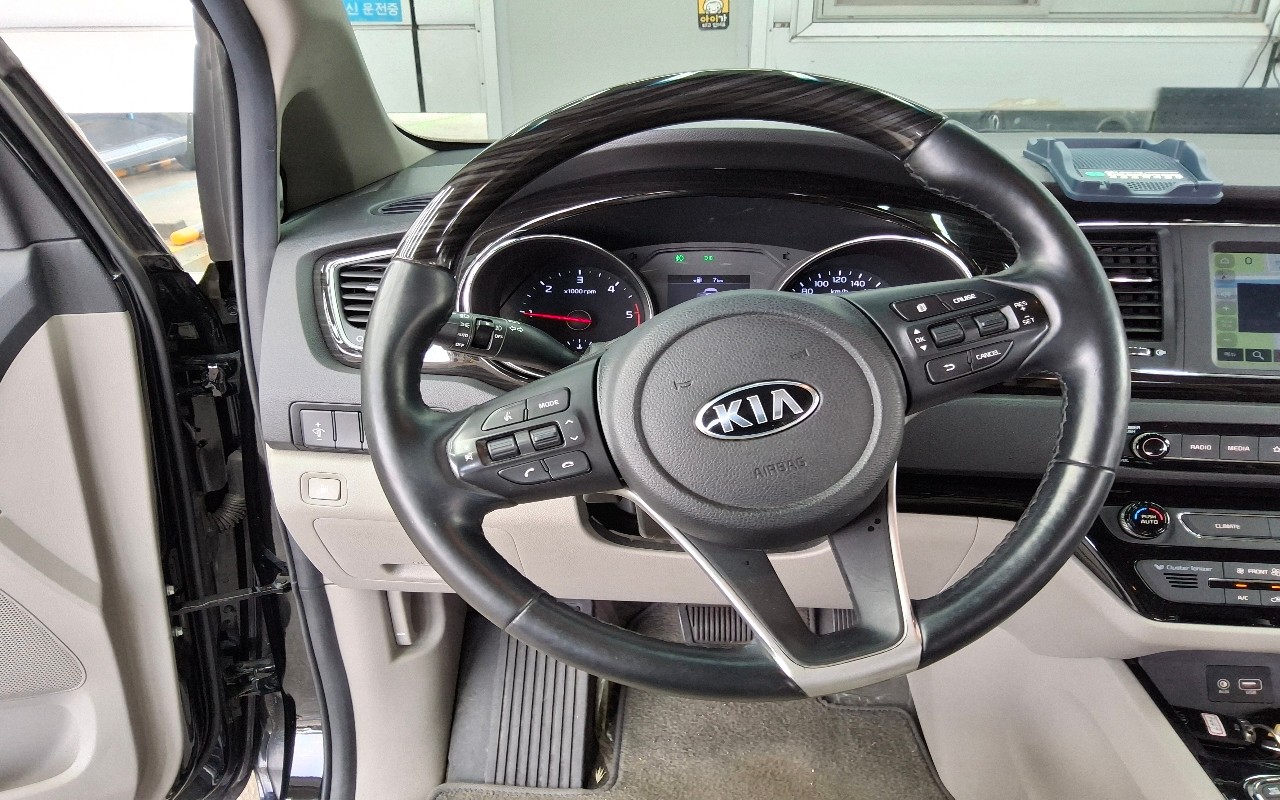 2019 - kia carnival