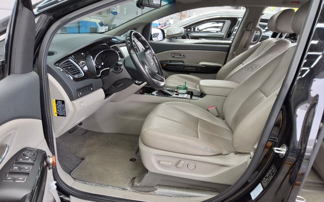 2019 - kia carnival