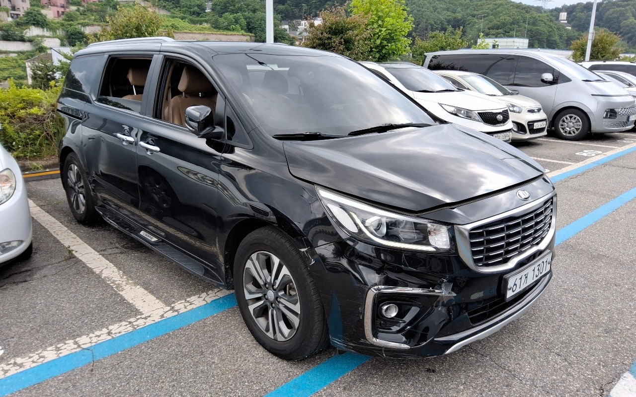 2019 - kia carnival