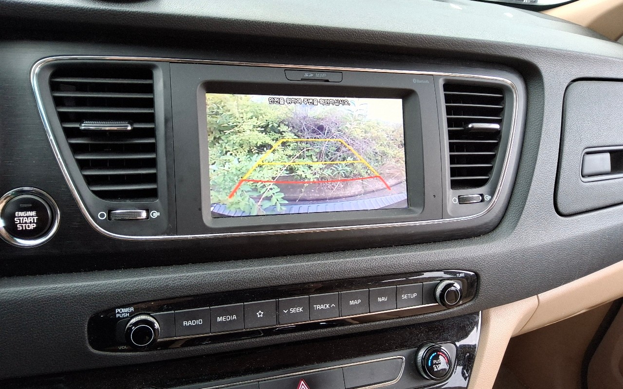 2019 - kia carnival