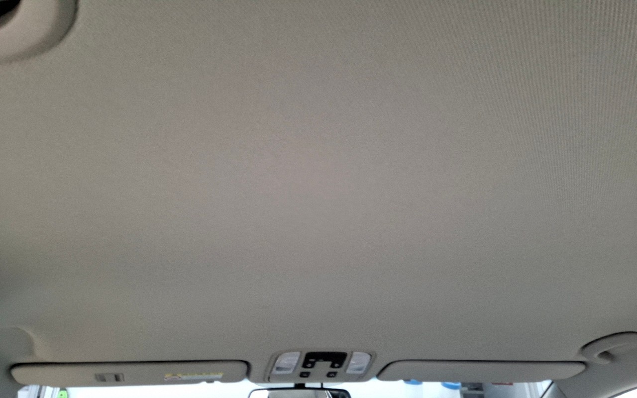 2019 - kia carnival