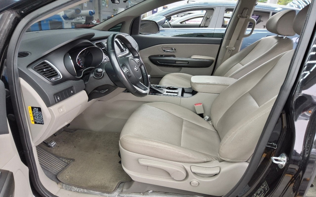 2019 - kia carnival
