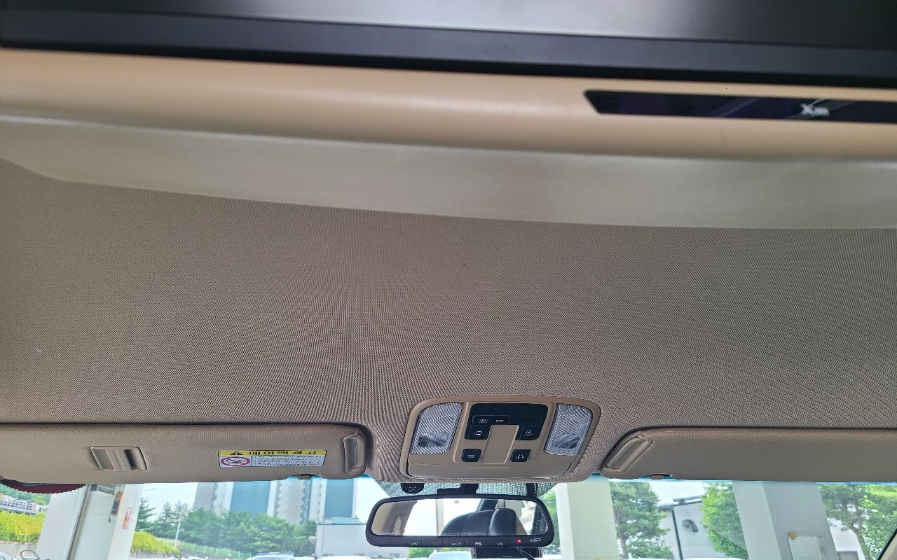 2019 - kia carnival