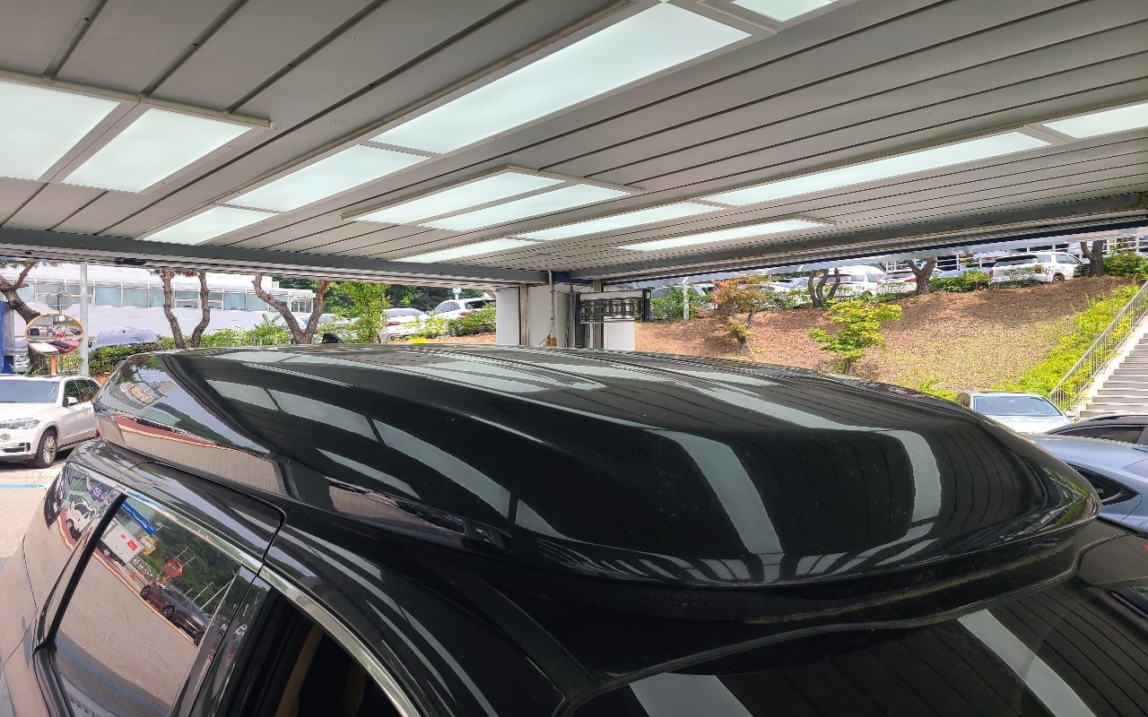 2019 - kia carnival