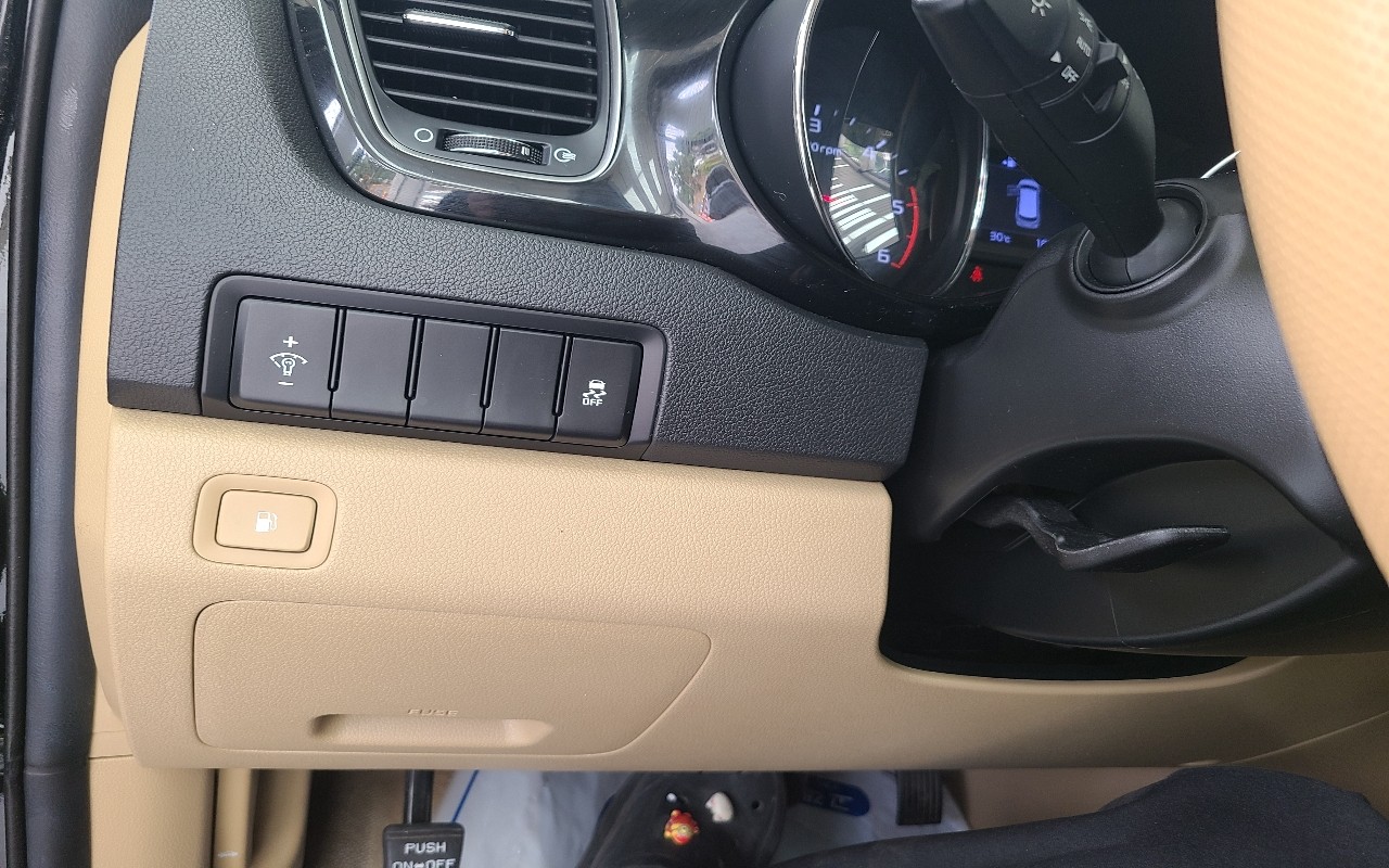 2019 - kia carnival