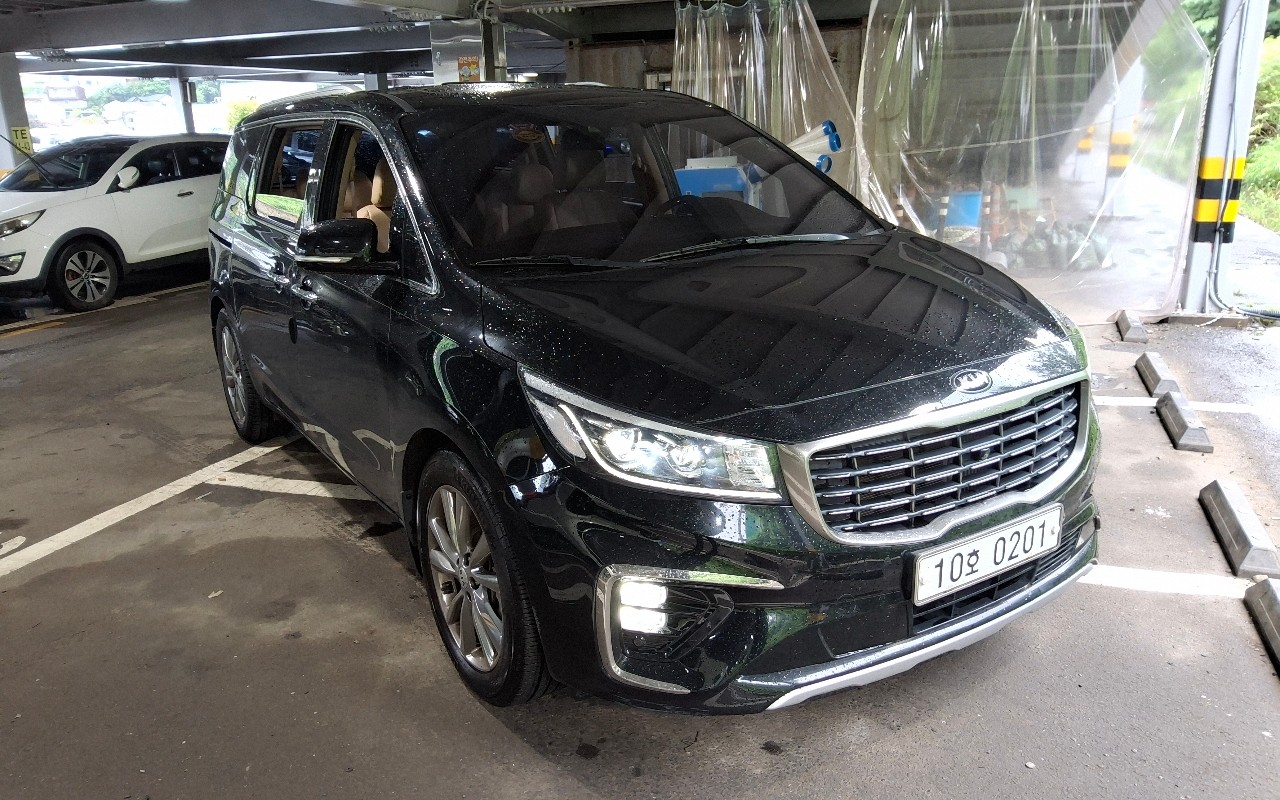 2019 - kia carnival