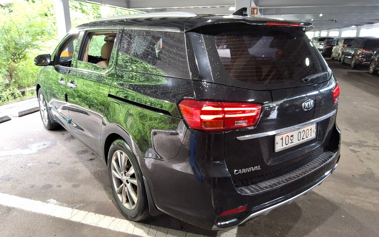 2019 - kia carnival