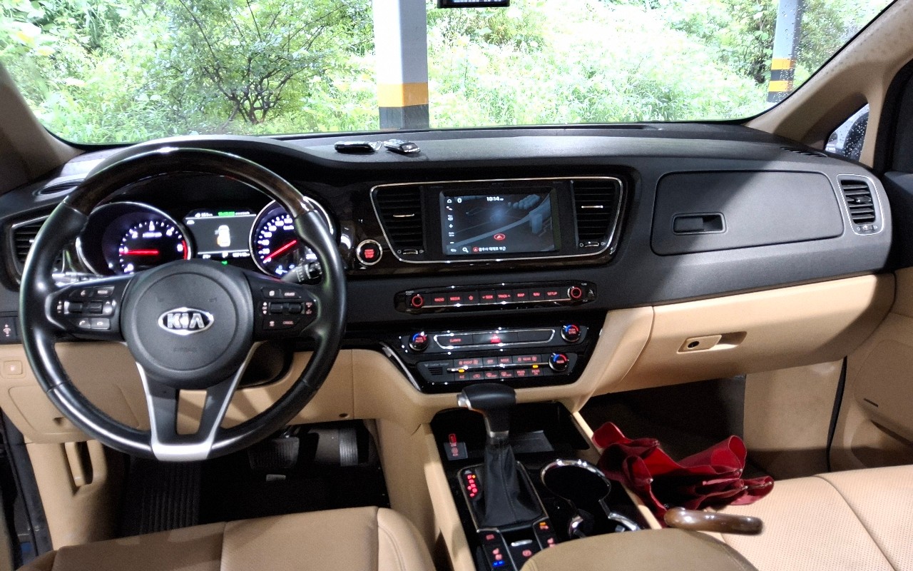 2019 - kia carnival