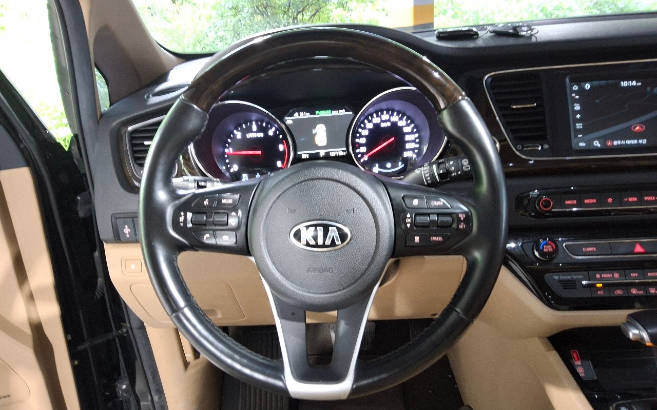 2019 - kia carnival