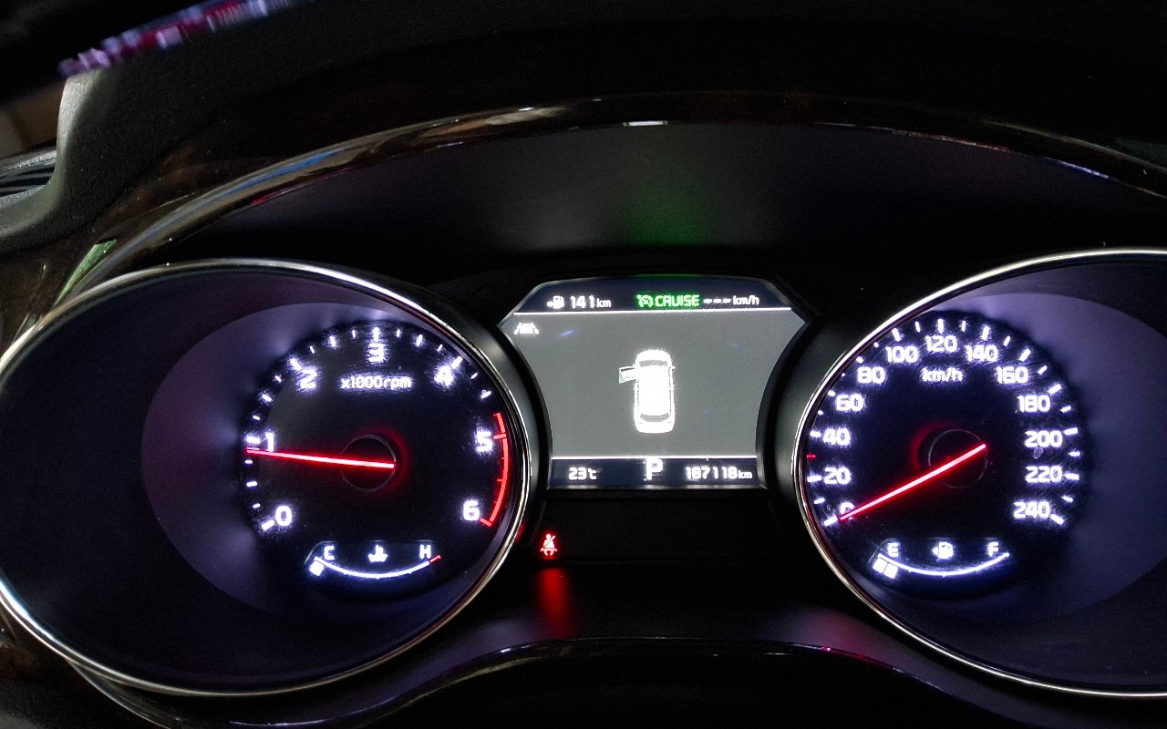 2019 - kia carnival