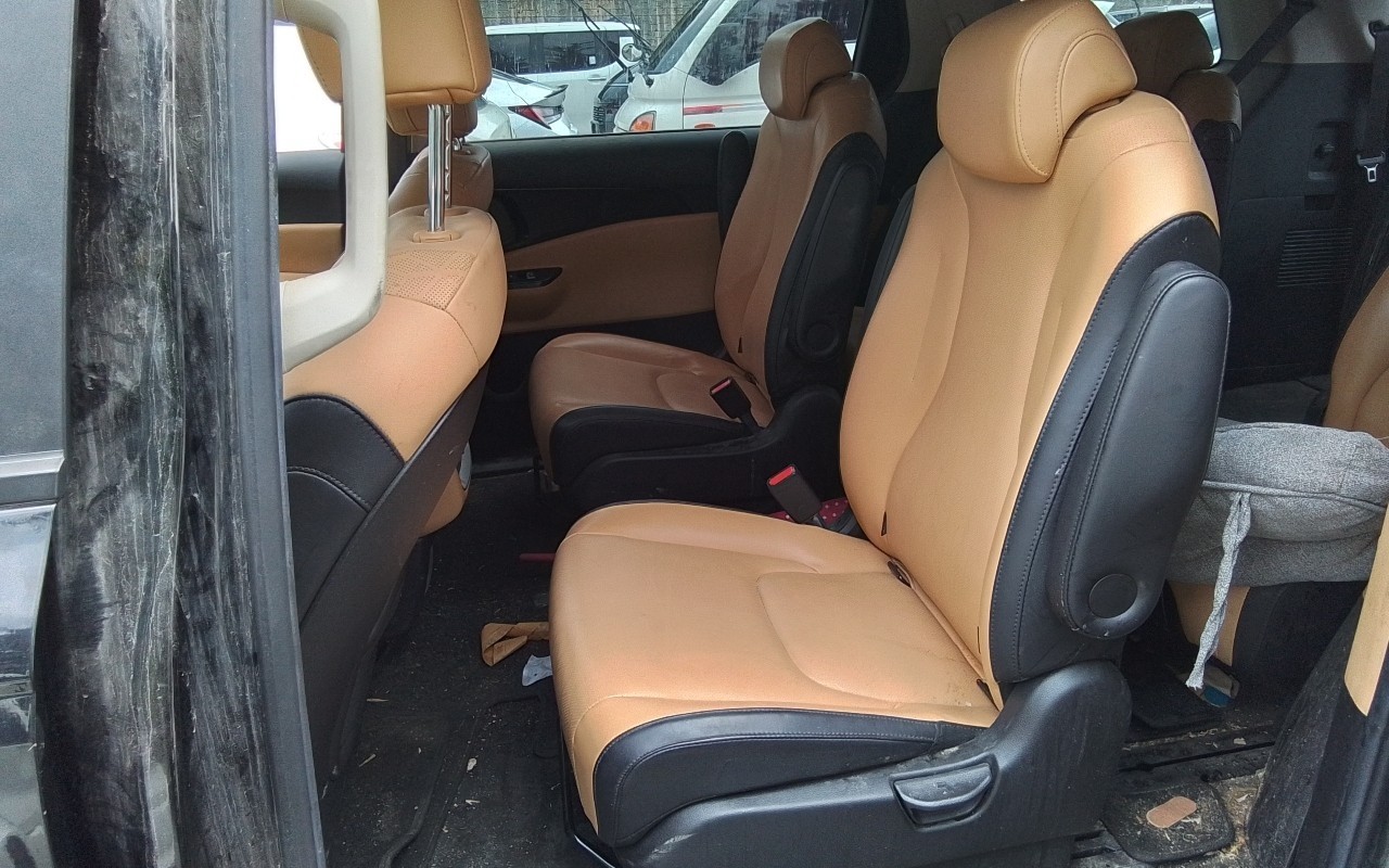 2021 - kia carnival