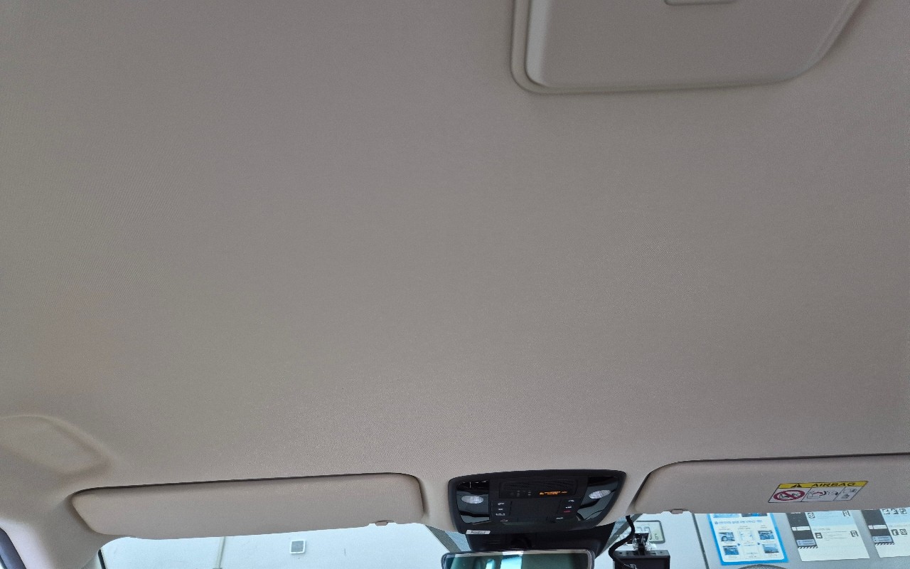 2022 - kia carnival