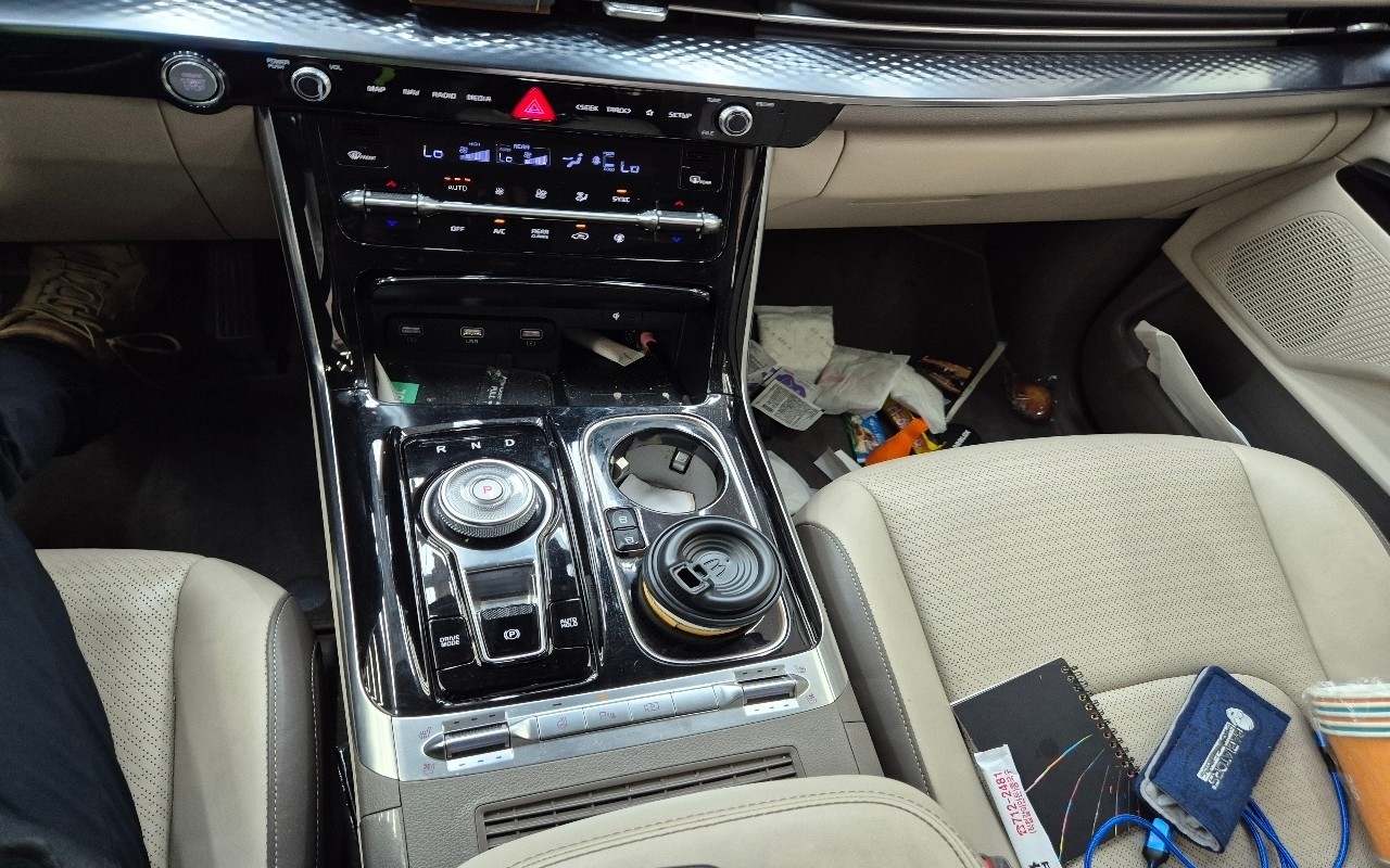 2021 - kia carnival