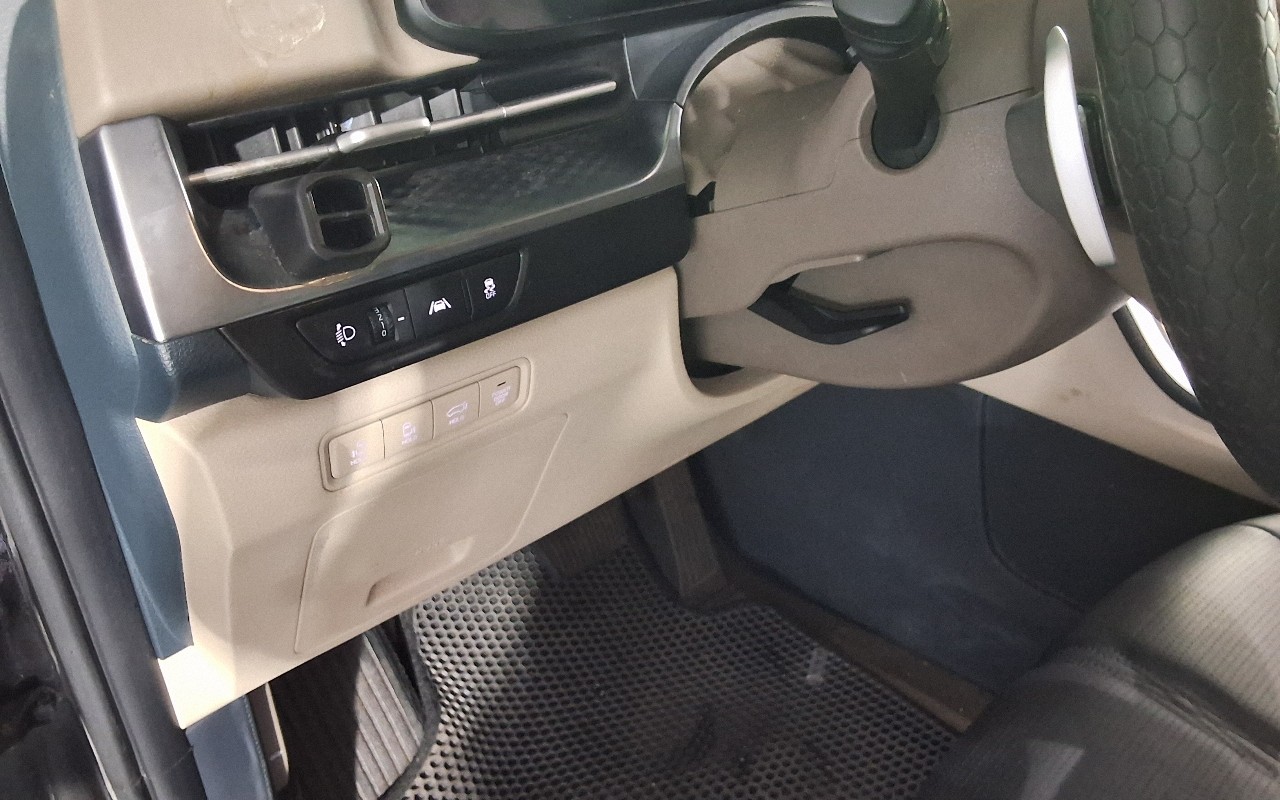 2021 - kia carnival