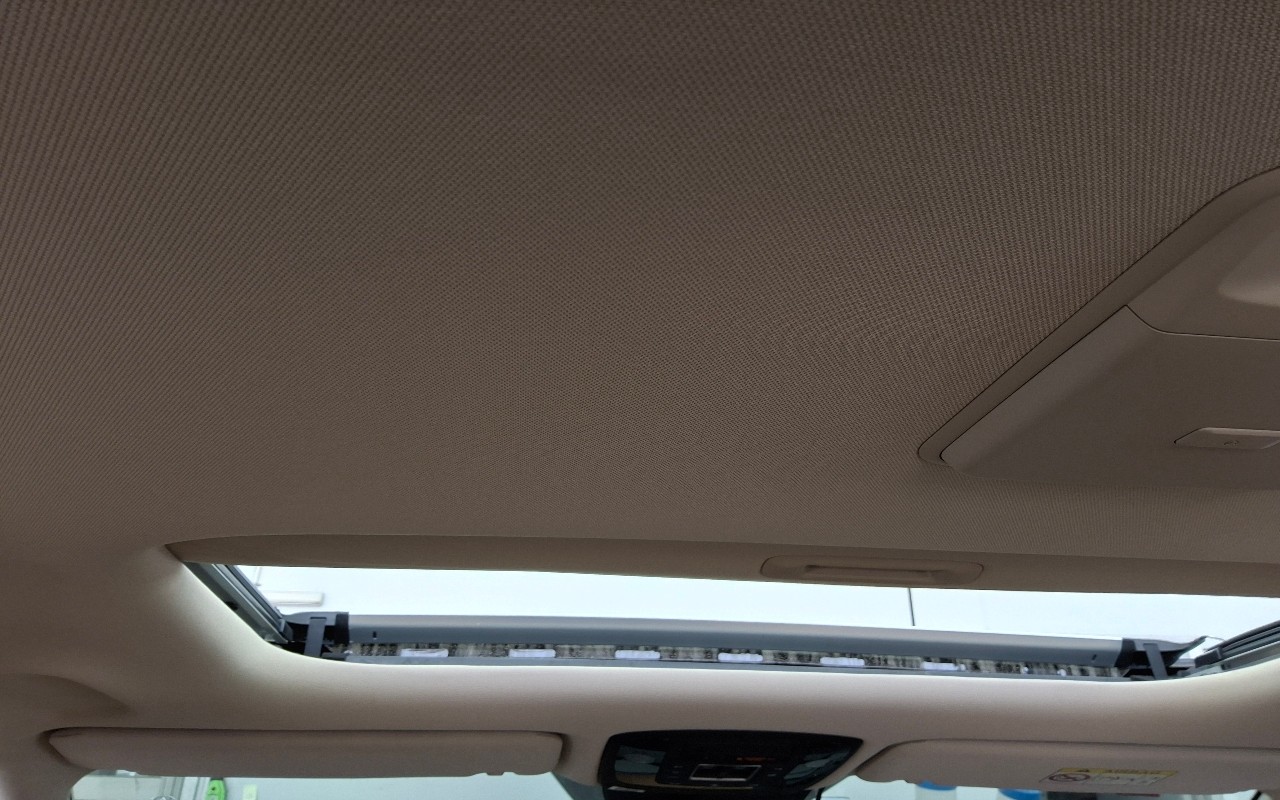 2021 - kia carnival