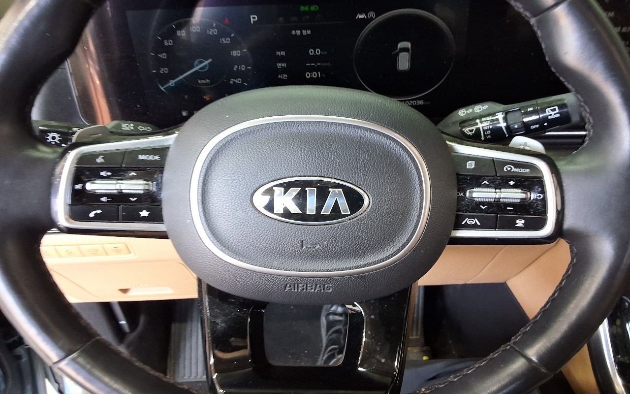 2021 - kia carnival