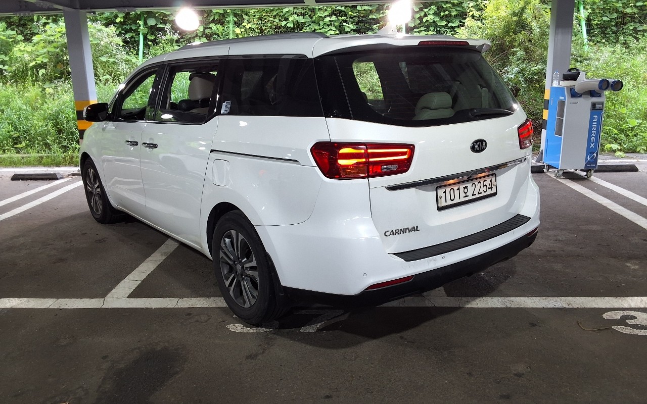 2019 - kia carnival