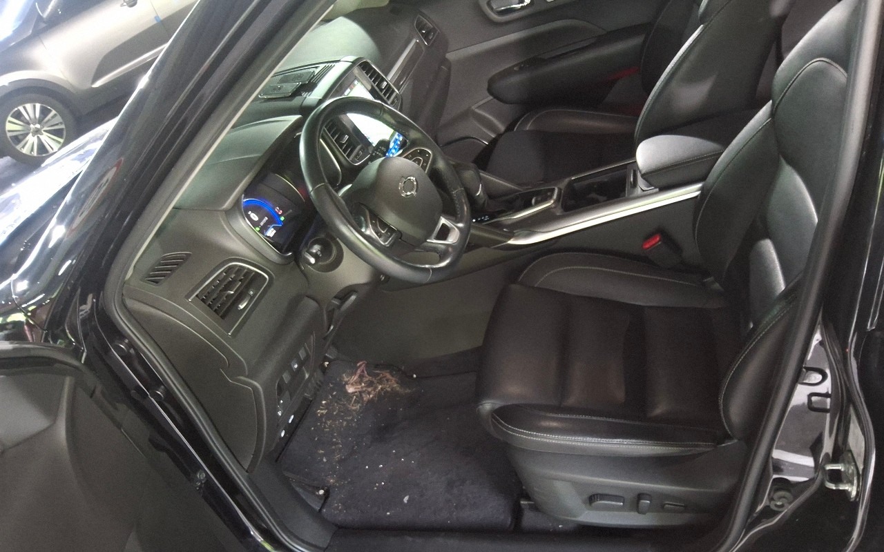 2018 - renault samsung qm6