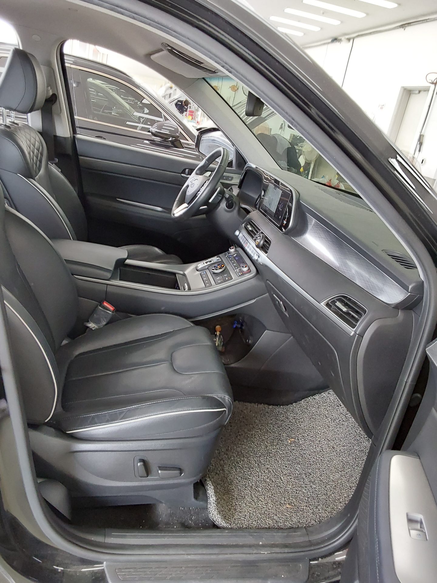 2021 - hyundai palisade