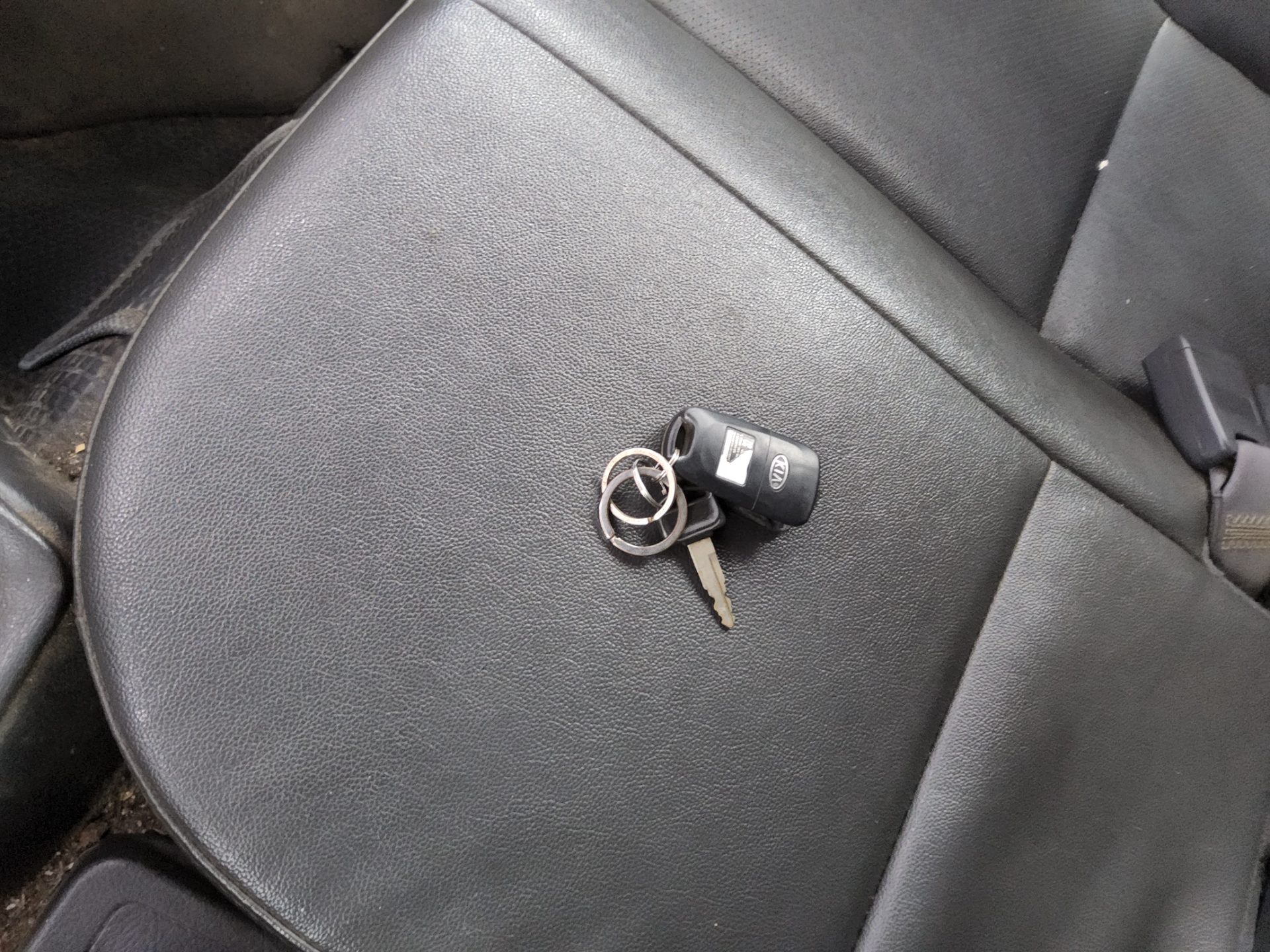 2016 - kia bongo