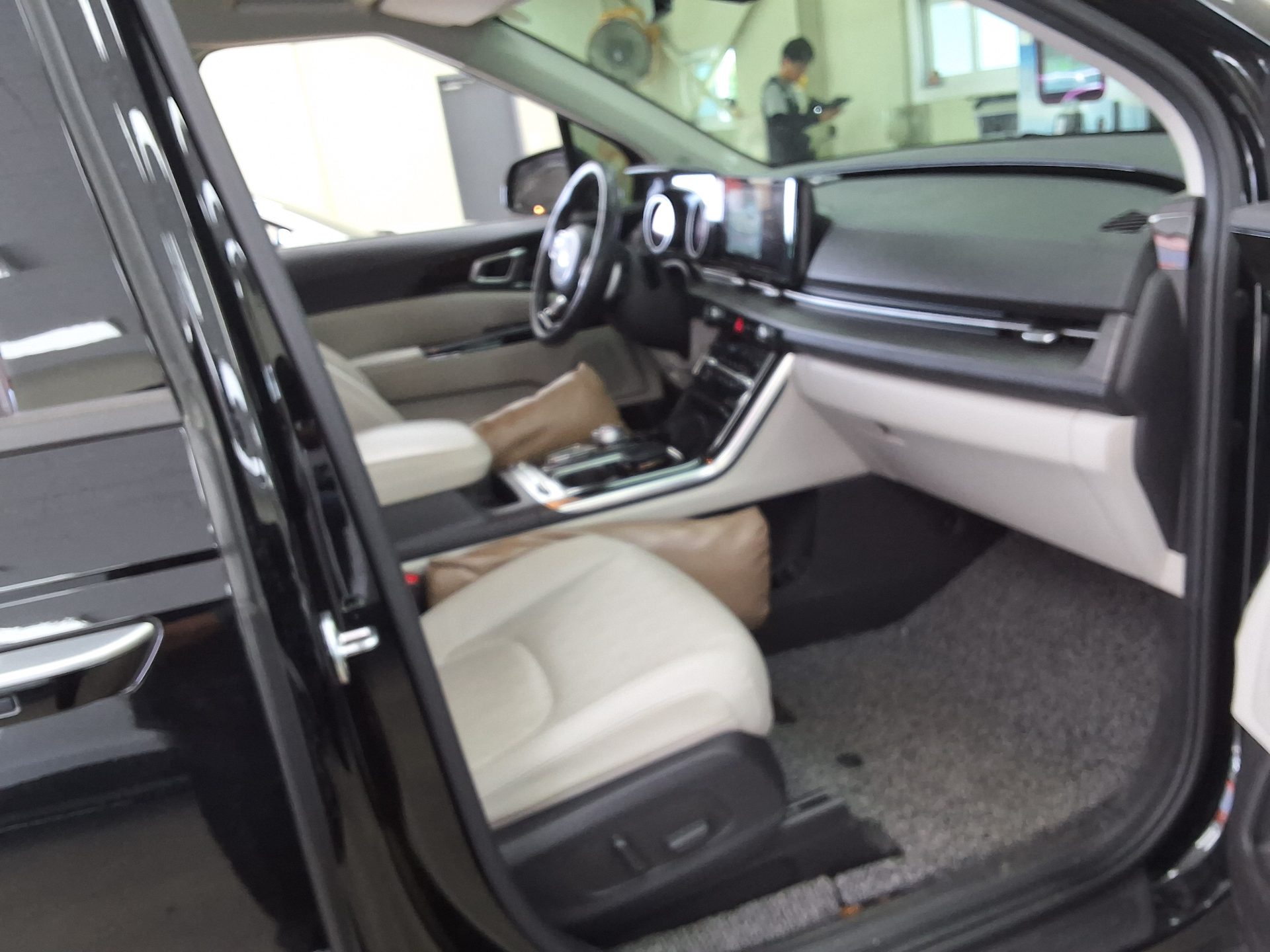 2021 - kia carnival