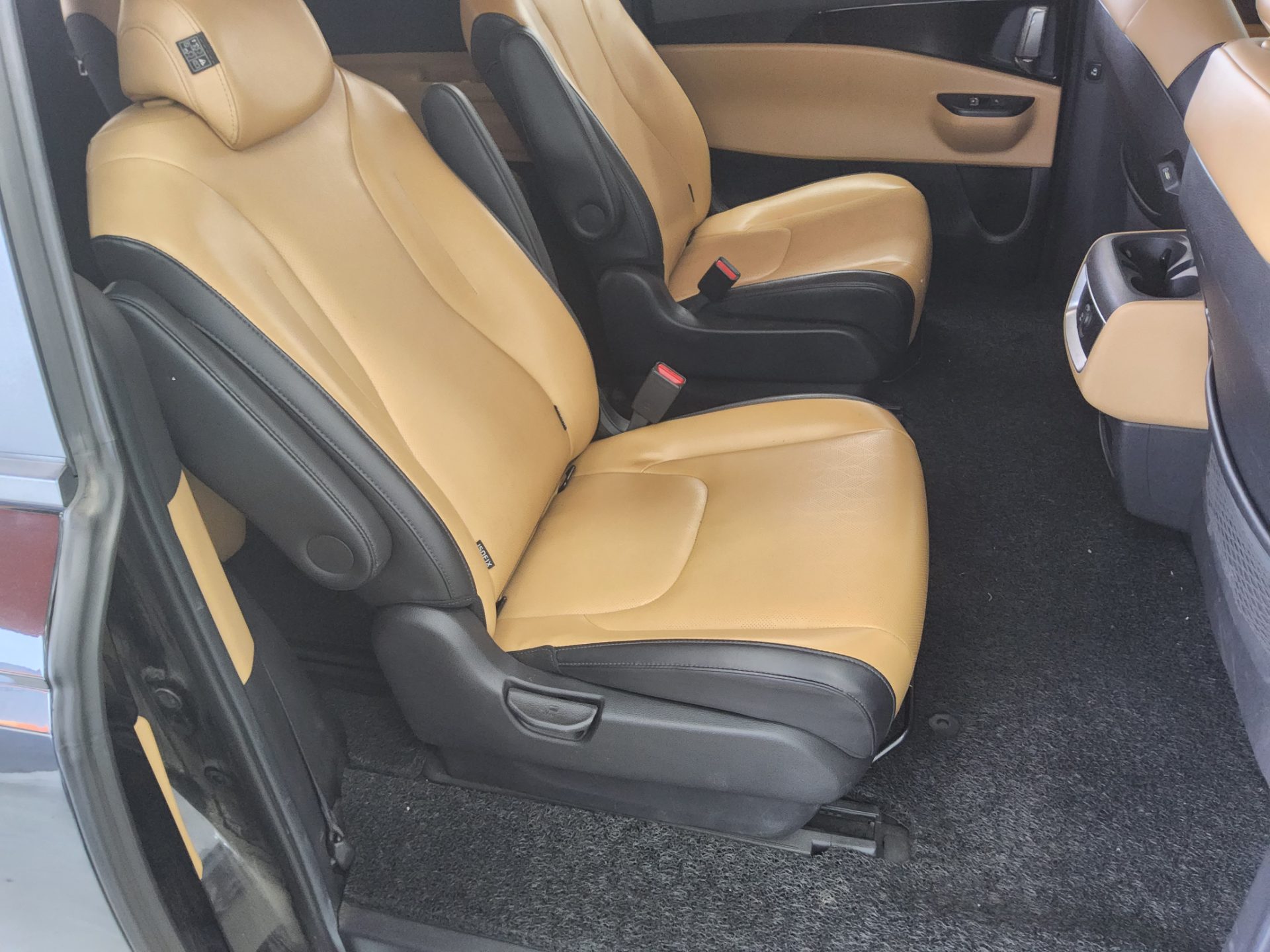 2021 - kia carnival