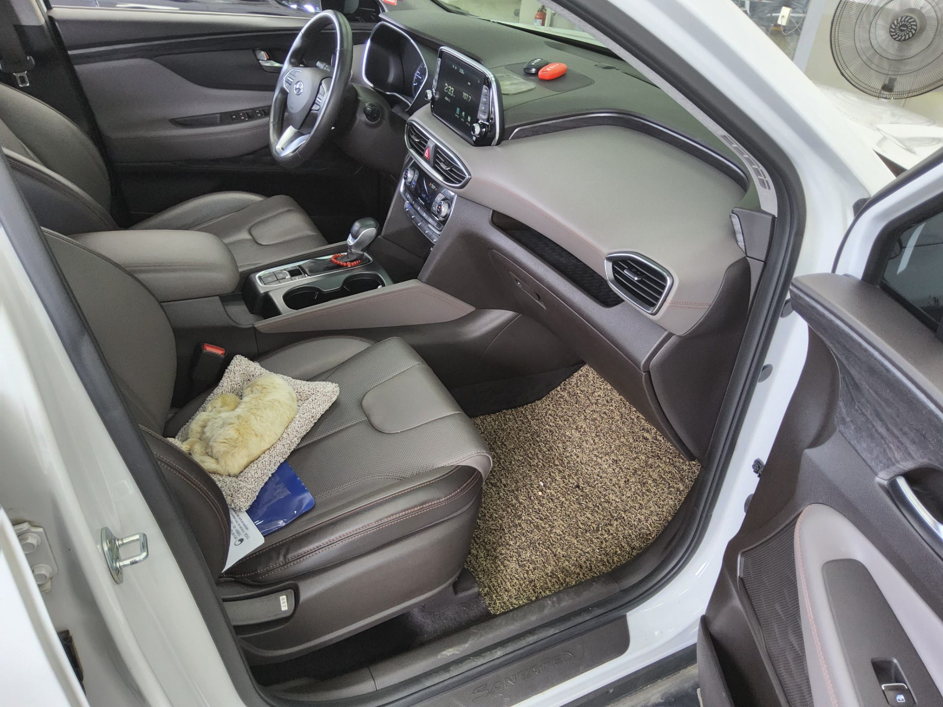 2019 - hyundai santa fe
