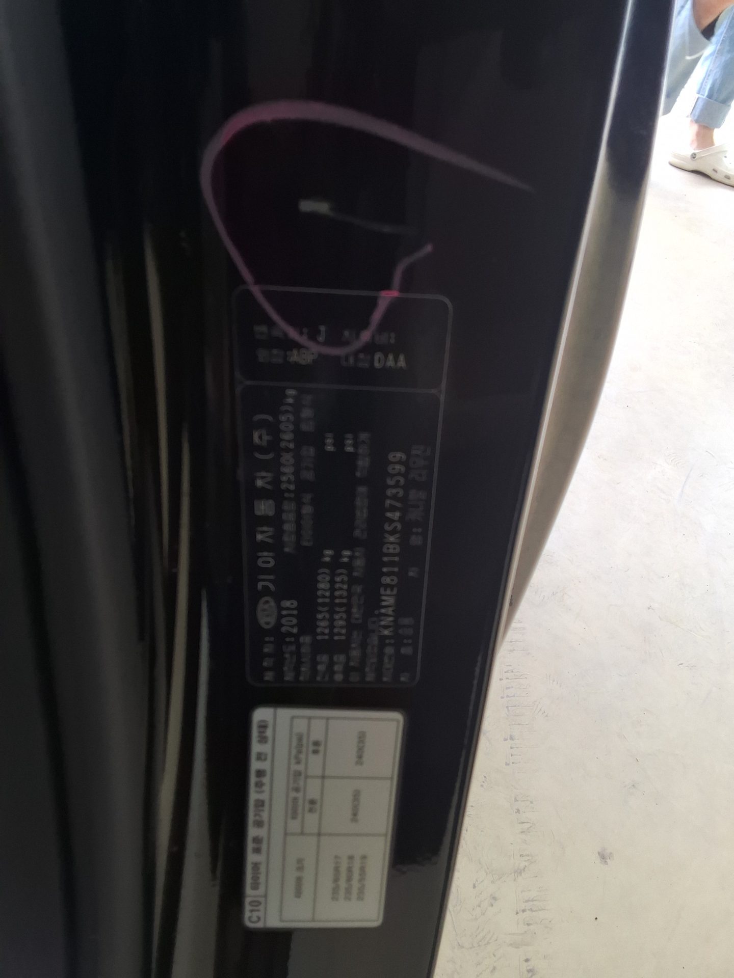2019 - kia carnival