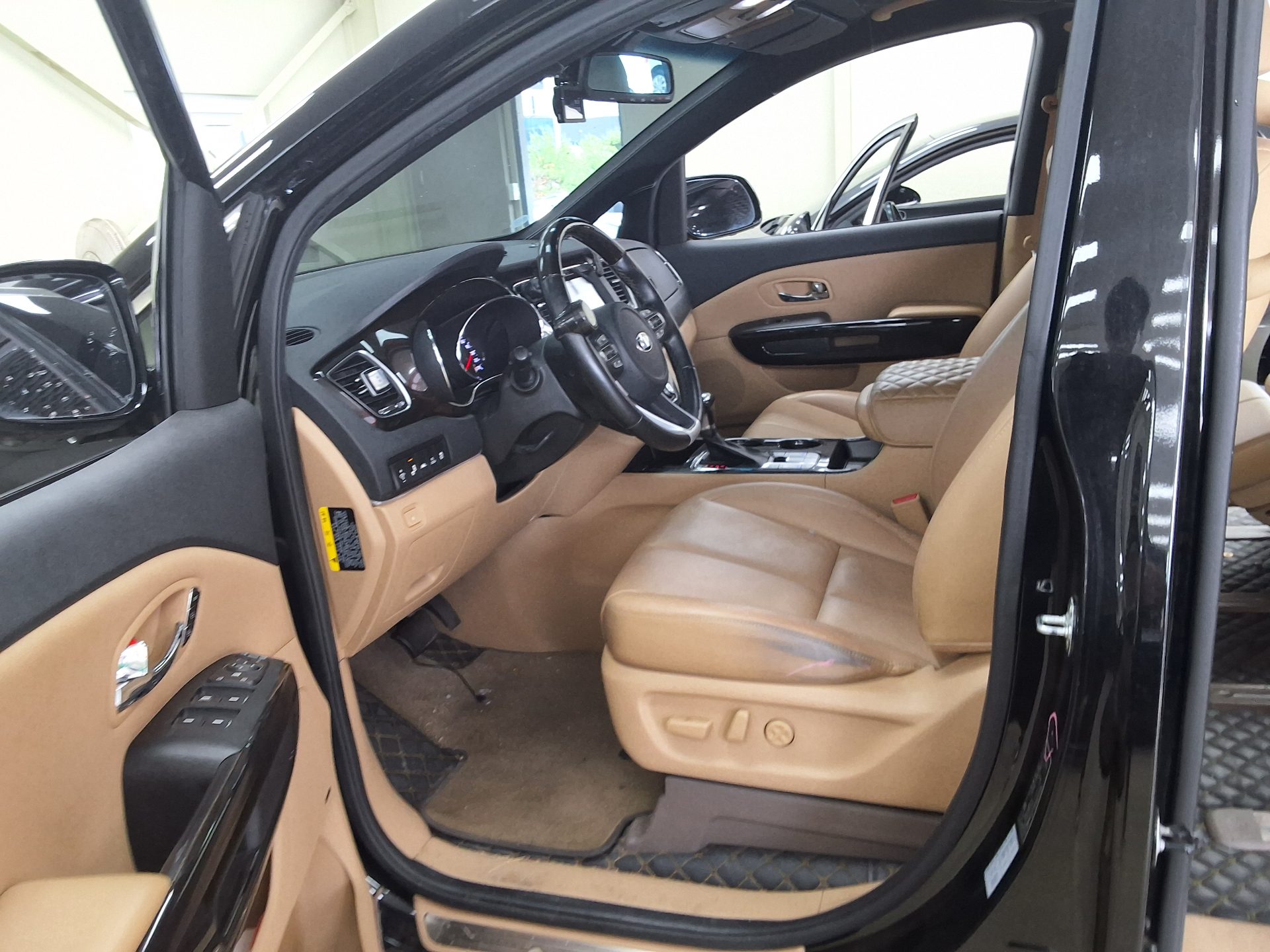 2019 - kia carnival