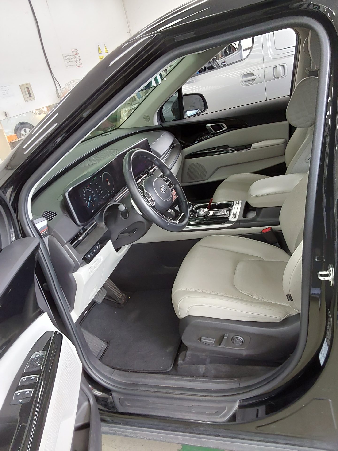 2021 - kia carnival