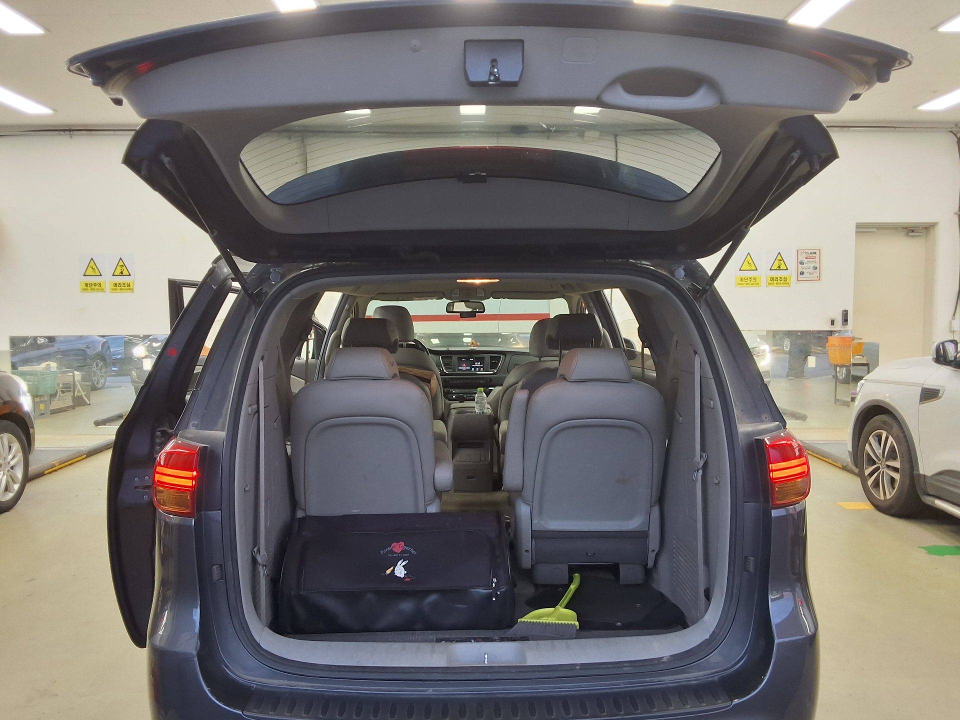 2017 - kia carnival