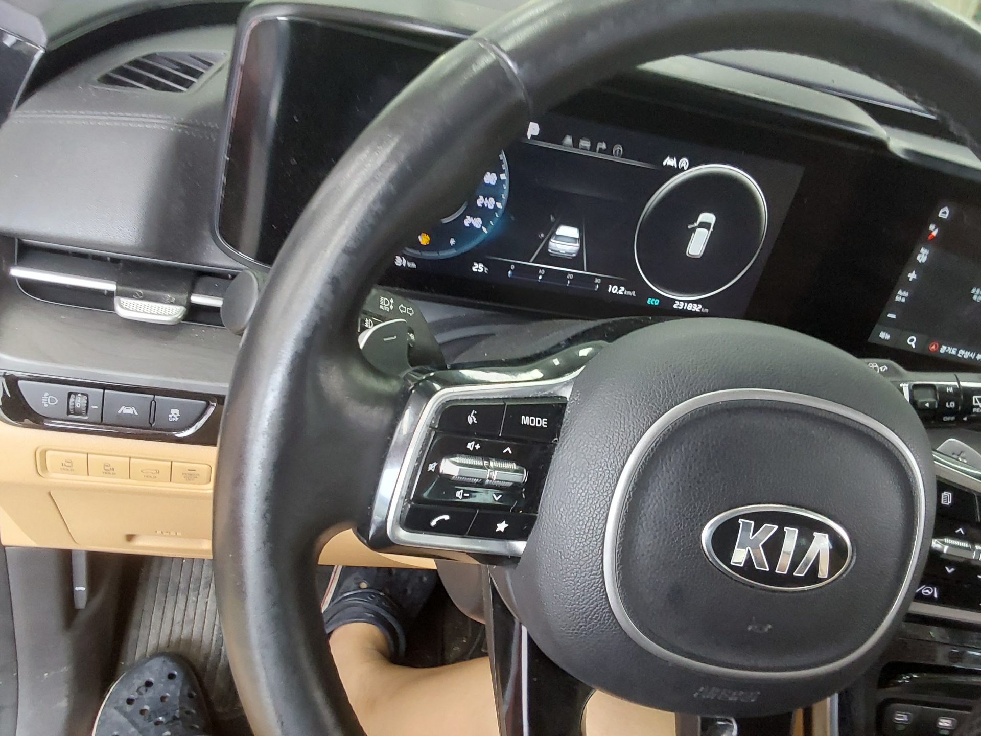 2021 - kia carnival
