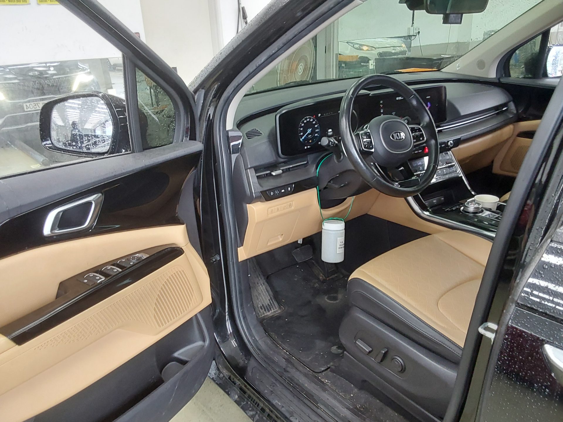 2021 - kia carnival