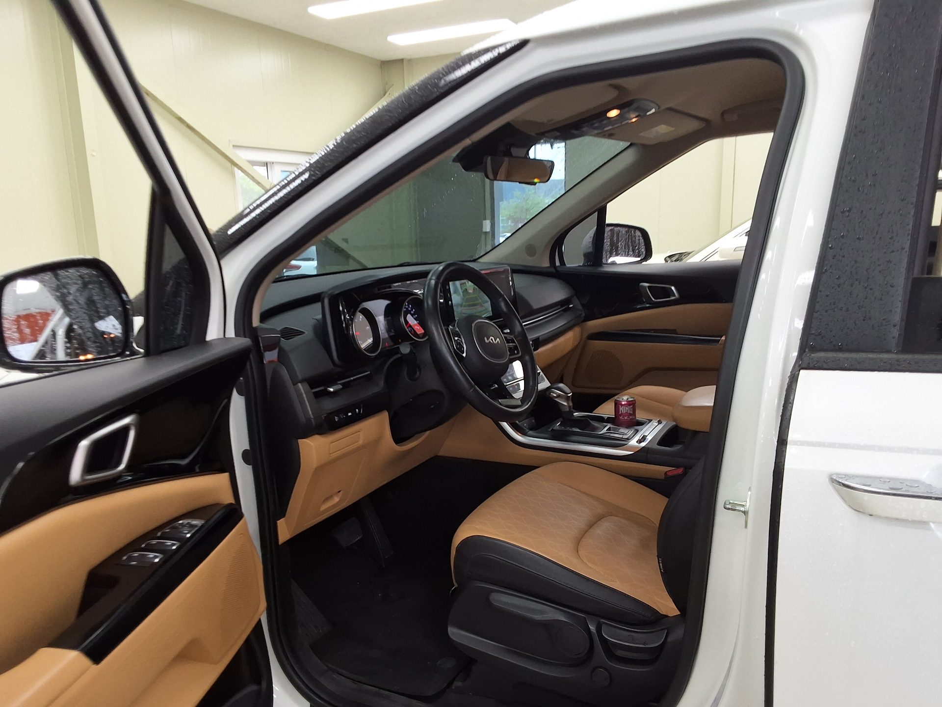 2023 - kia carnival