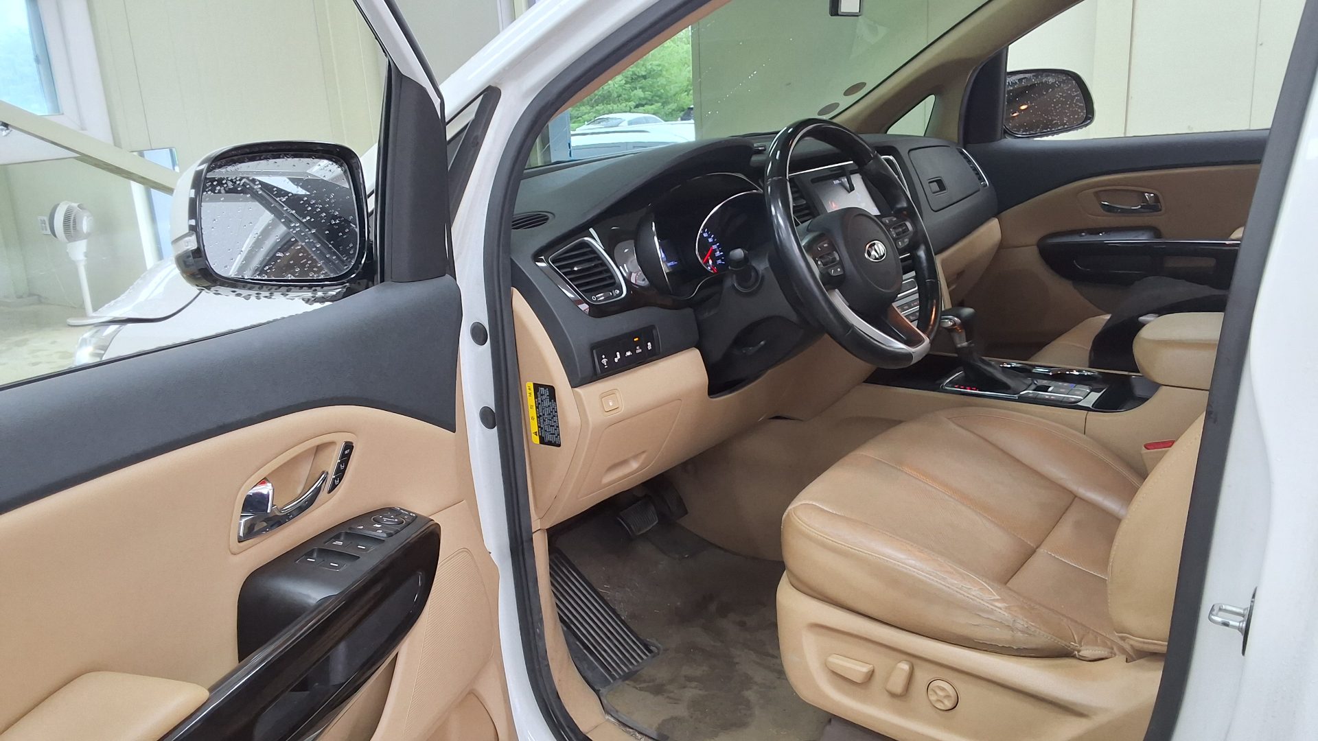 2019 - kia carnival
