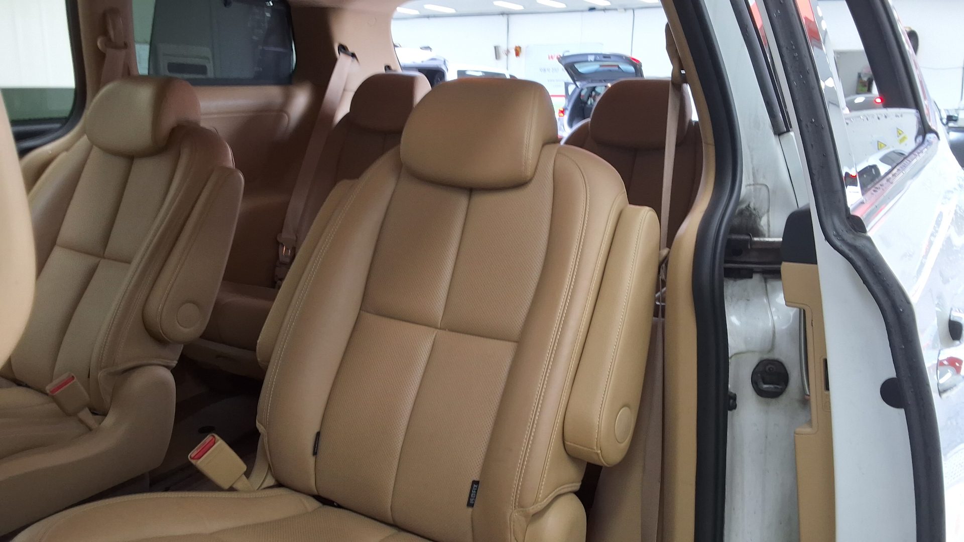 2019 - kia carnival