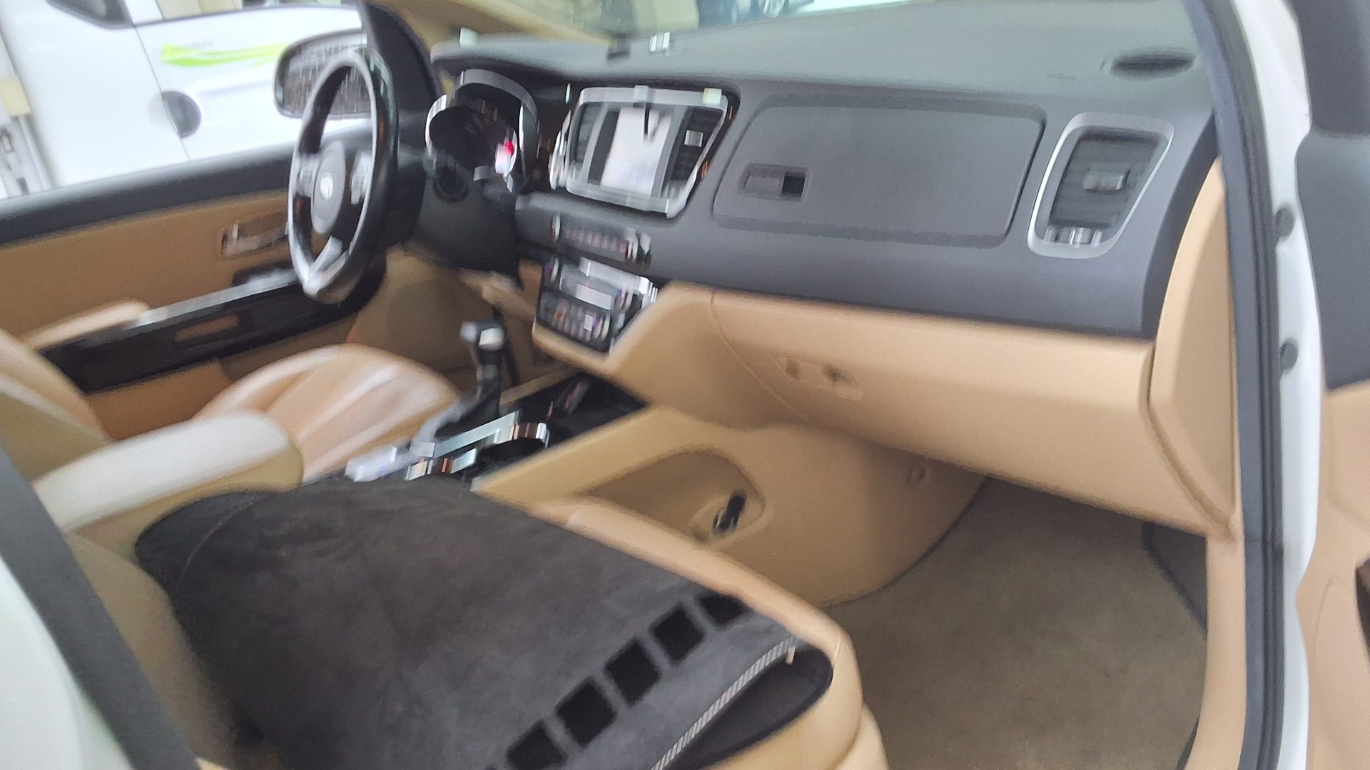 2019 - kia carnival
