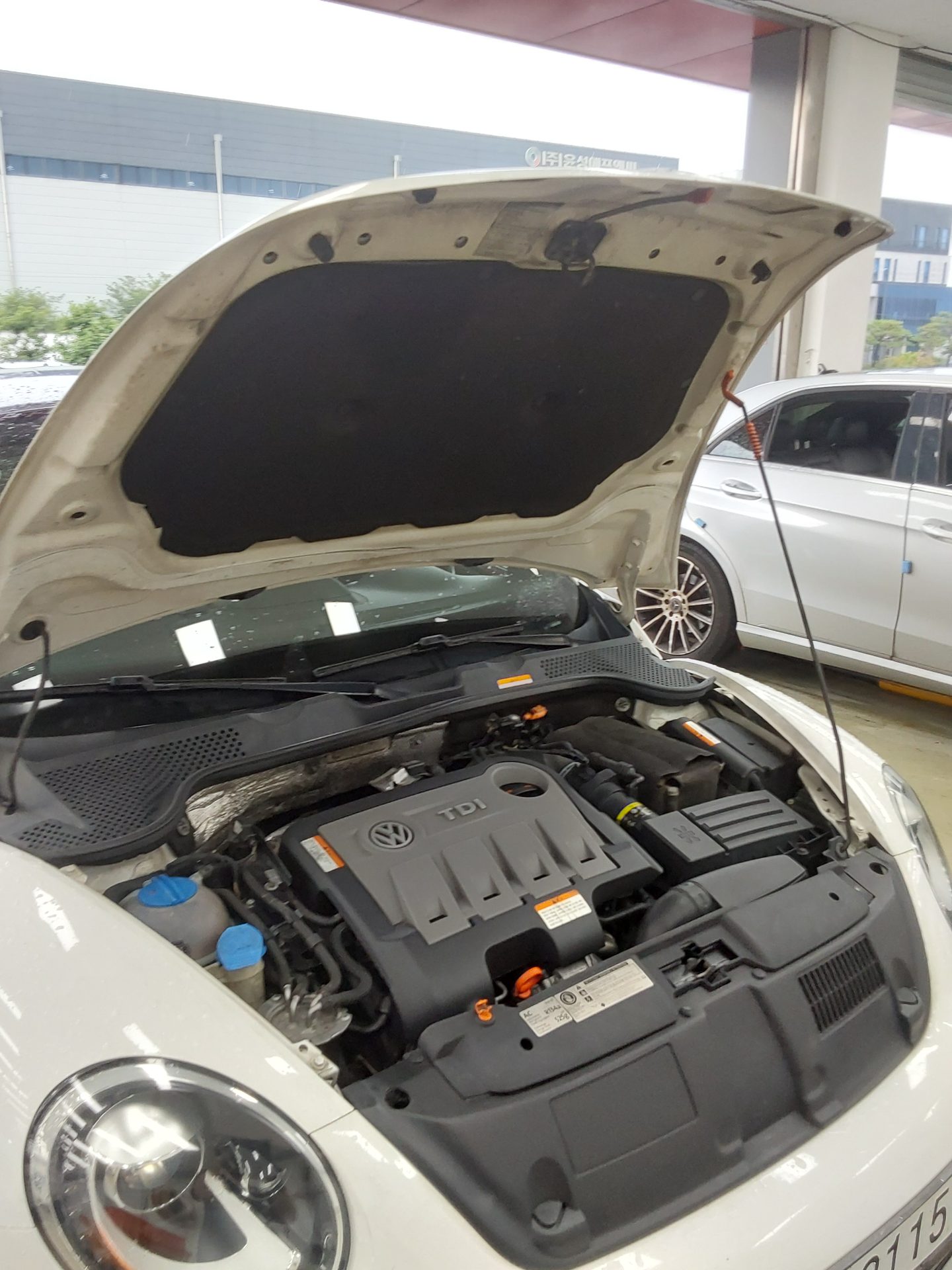 2013 - volkswagen beetle
