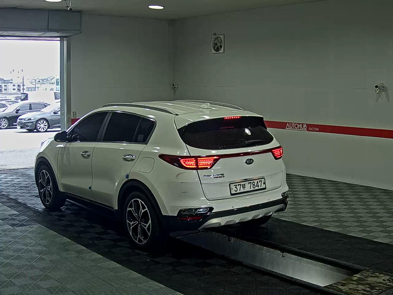 2019 - kia sportage