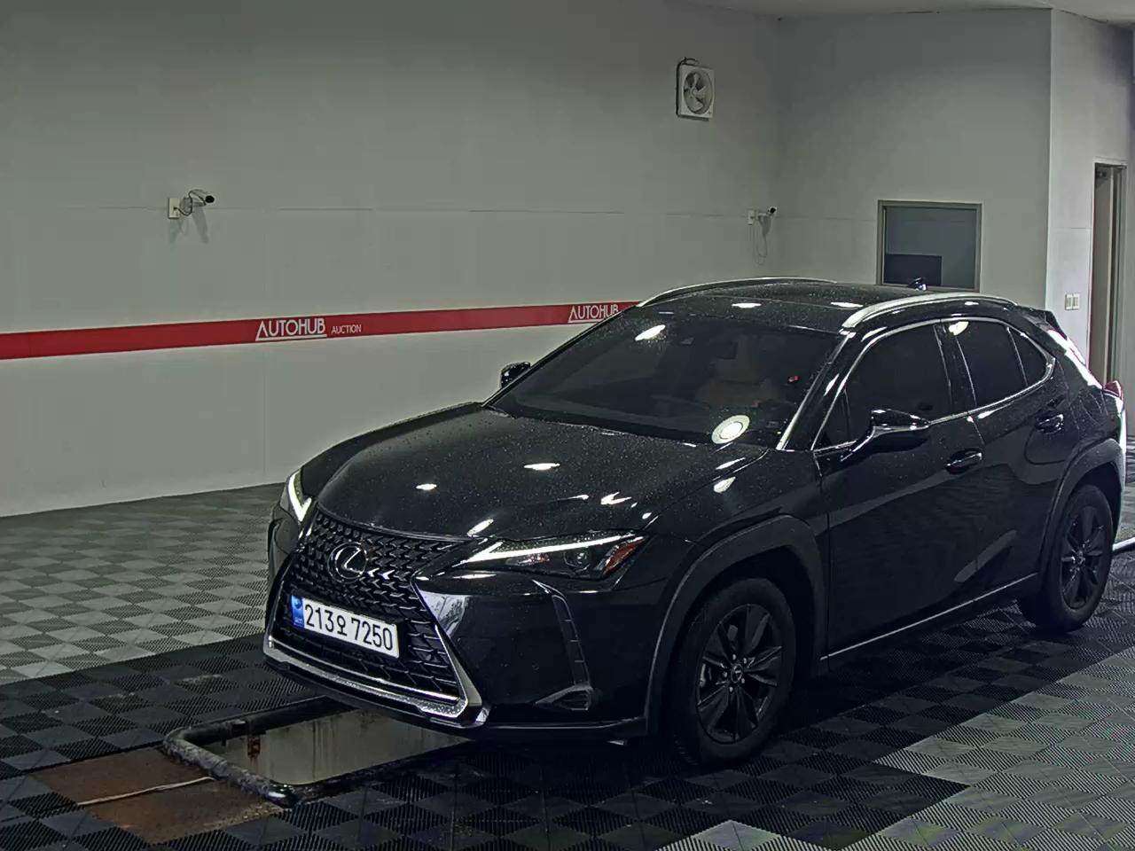 2024 - lexus ux 250h