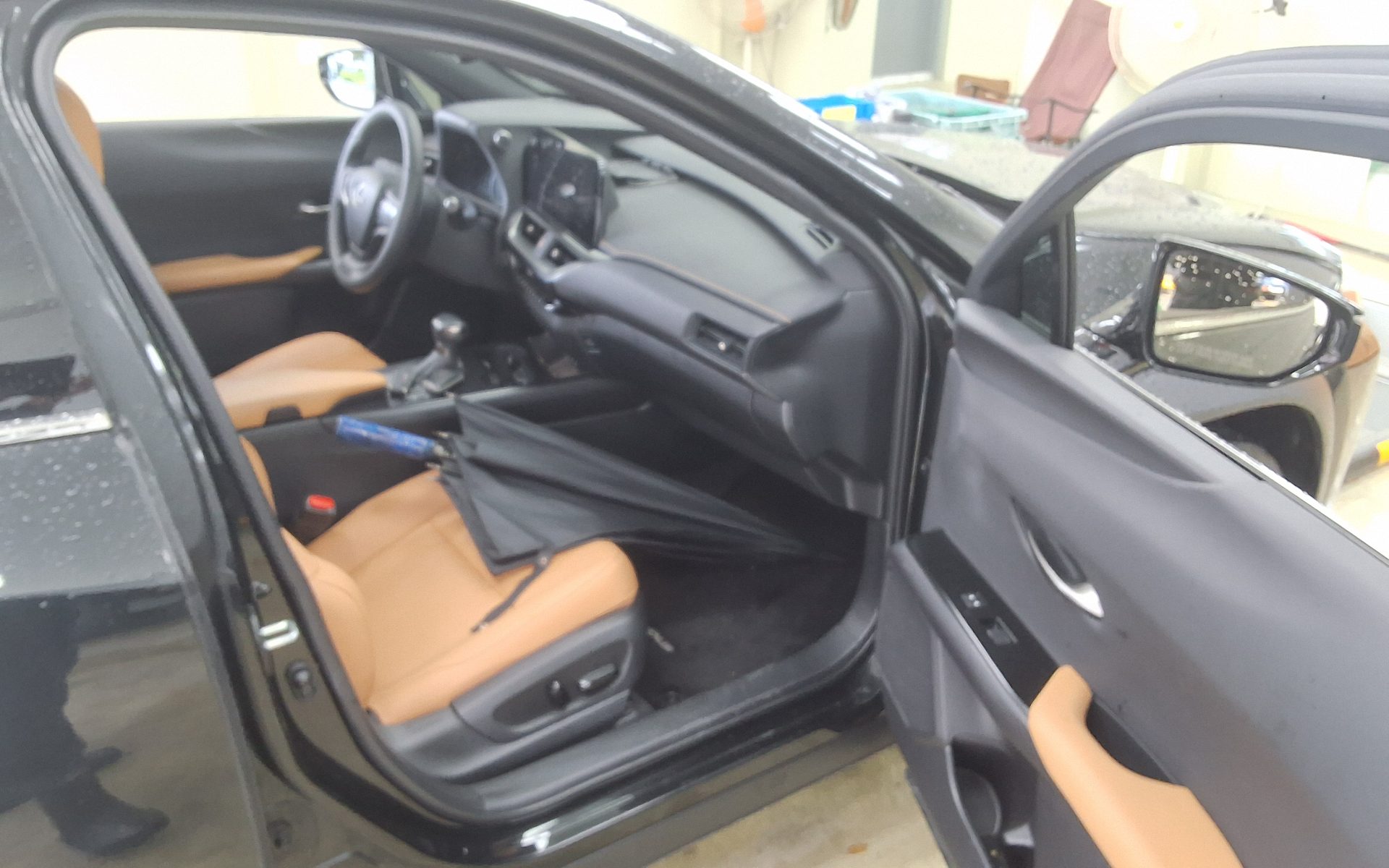 2024 - lexus ux 250h